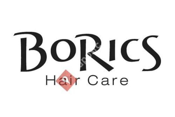 BoRics Hair Care