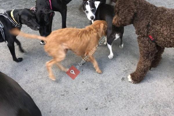 Bremen Street Dog Park