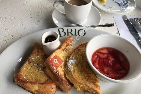 BRIO Tuscan Grille