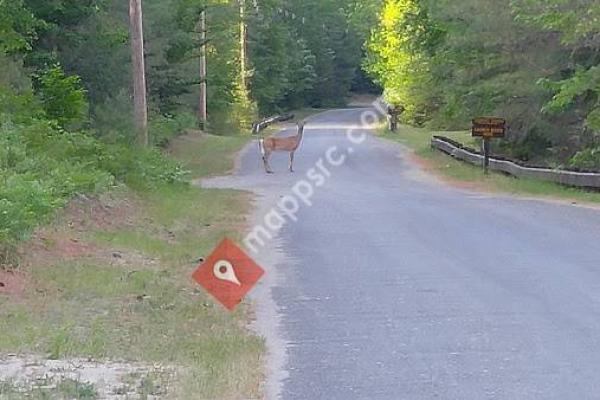 Buck Pond Campground