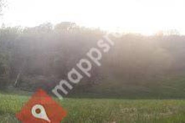 Buena Vista County Park