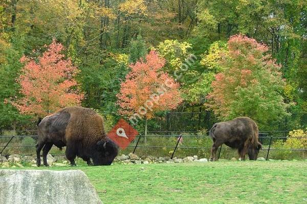 Buttonwood Park Zoo