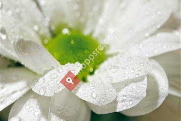 Cabarrus Memorial Gardens