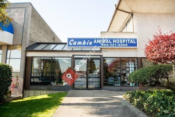 Cambie Animal Hospital