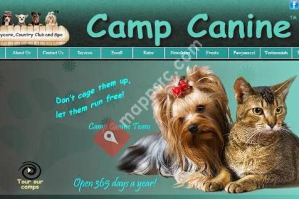 Camp Canine Ft Lauderdale
