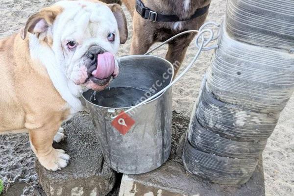 Canine Corners Dog Park