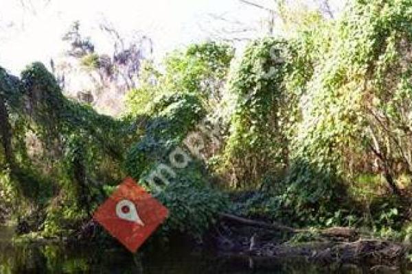 Canoe Outpost-Little Manatee River