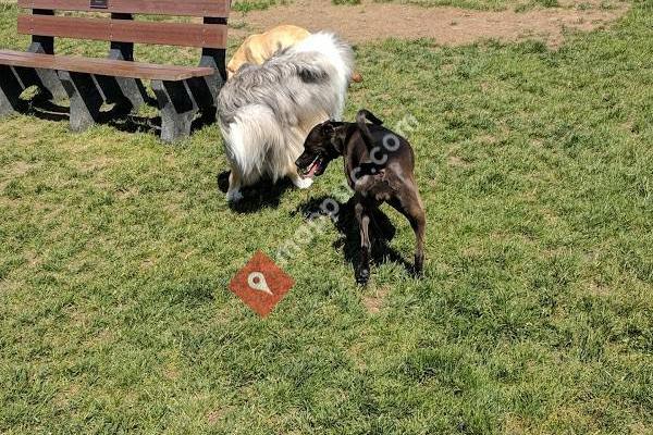 Canton Dog Park