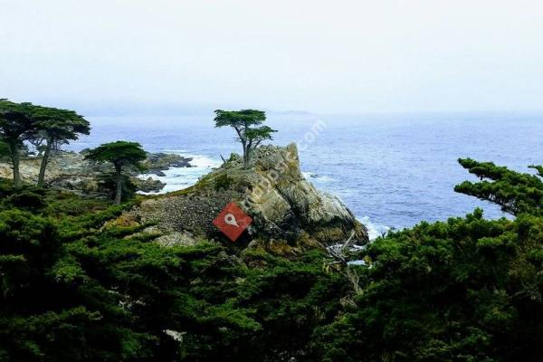 Carmel Pinnacles State Marine Reserve