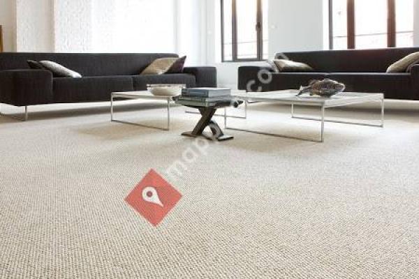 Carpet Cleaning in Cullman Alabama