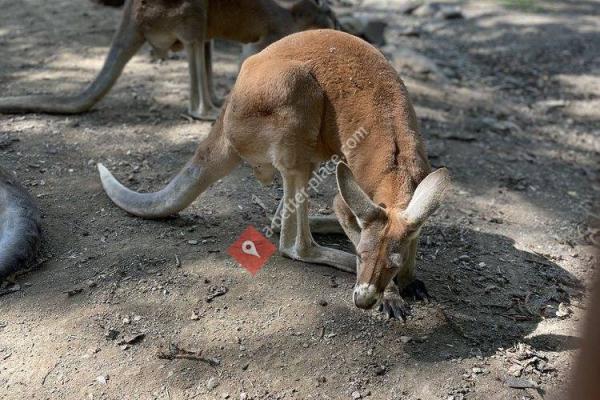 Catoctin Wildlife Preserve