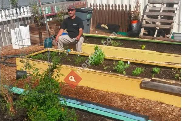 CCA EcoClub Vegetable Garden