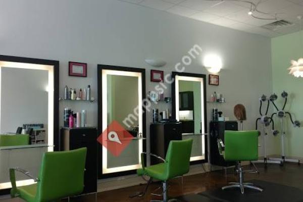 Chameleon Salon