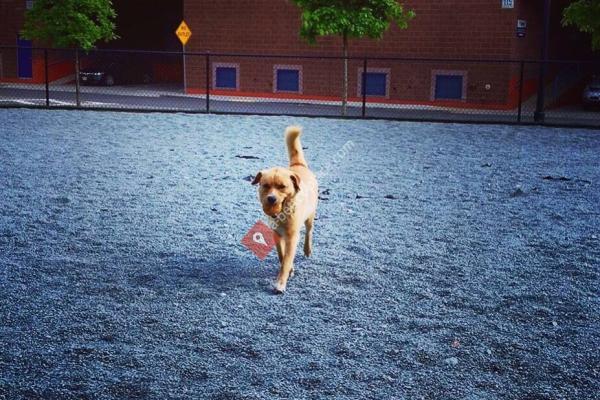 Channel Center Dog Park