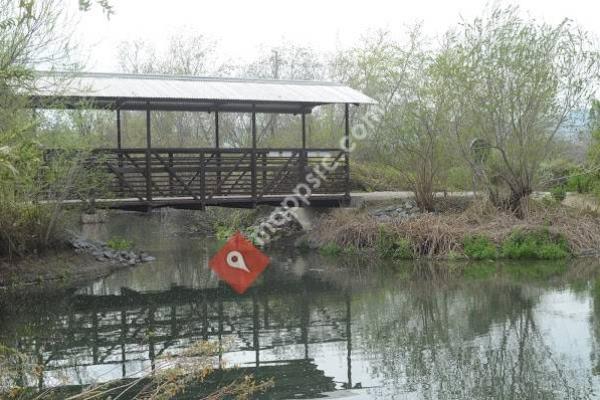 Chino Creek Wetlands and Educational Park