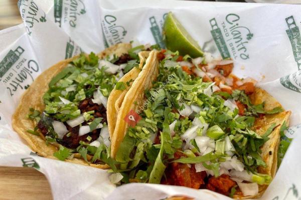 Cilantro Taco Grill