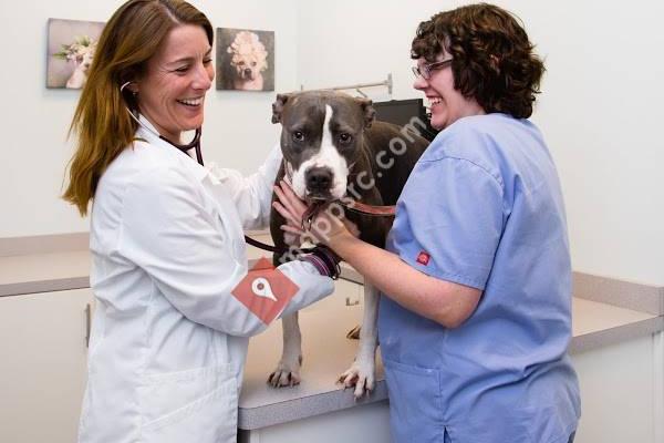 CityPaws Animal Hospital