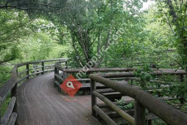 Coal Mining Heritage Park and Loop Trail