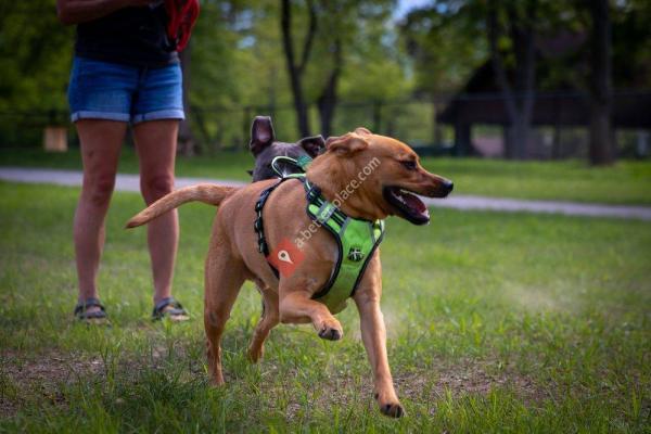 Como Lake Bark Park