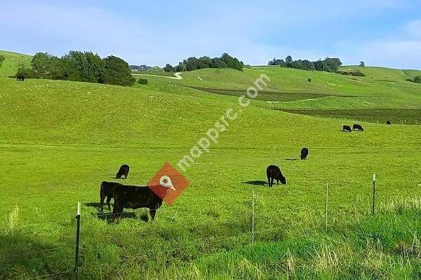 Crane Creek Regional Park