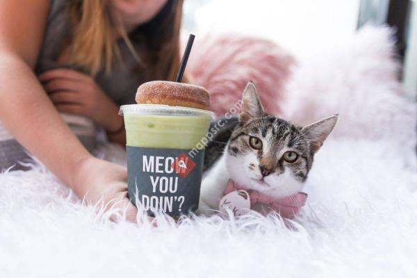 Crumbs & Whiskers - Kitten & Cat Cafe