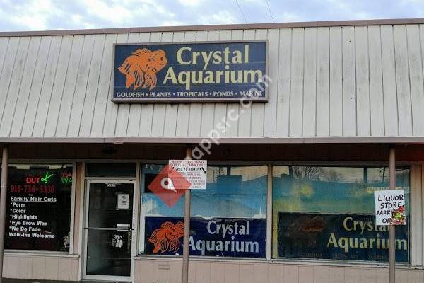 Crystal Aquarium