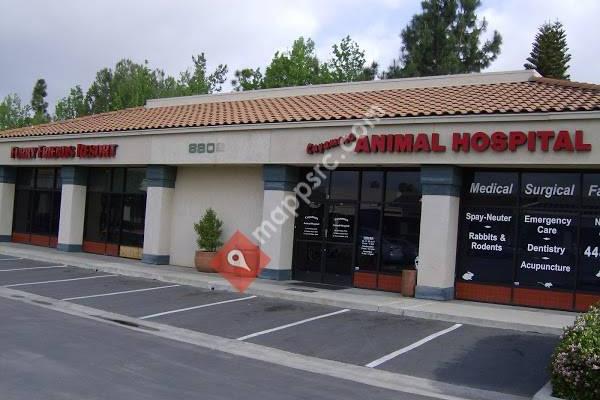 Cuyamaca Animal Hospital Inc: L. Martin DVM, B. Hyatt DVM CVA, E. Engall DVM, A. Cotter DVM