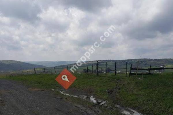 Cuyler Hill State Forest