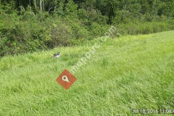 Cypress Creek Preserve