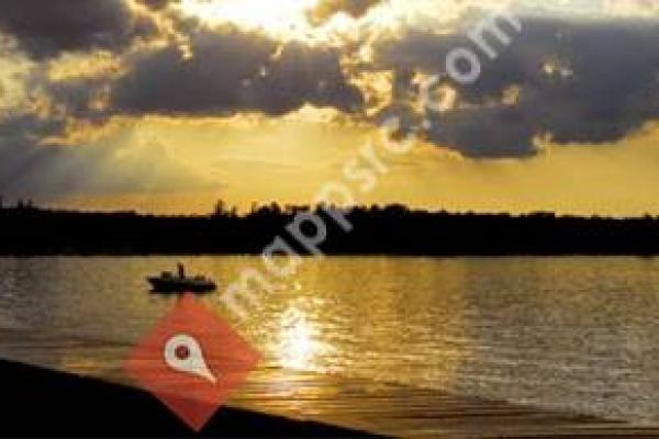 David Paulson Agency Inc