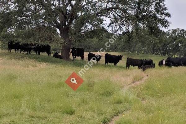 Deer Creek Hills Preserve