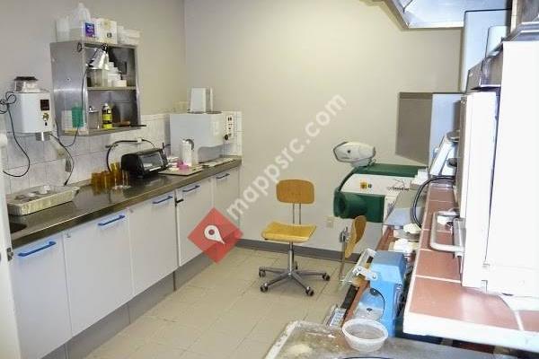 Dental Professional Labs Inc