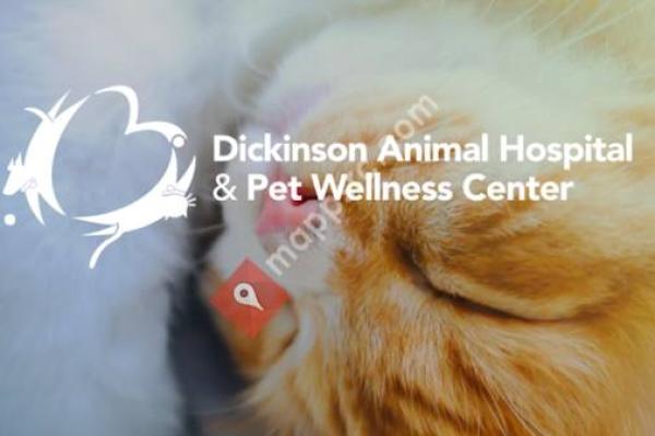 Dickinson Animal Hospital & Pet Wellness Center