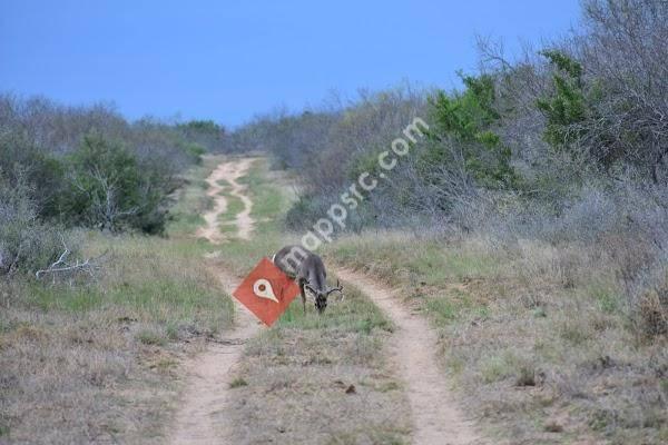 Dimmit County Airport