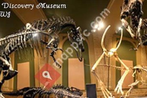 Dinosaur Discovery Museum