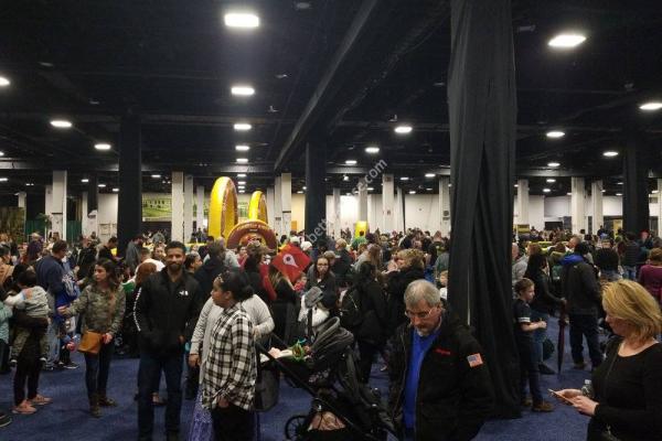 Discover the Dinosaurs