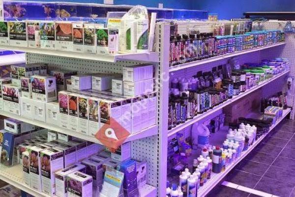 Discovery Aquatics - Marine Fish, Coral, Saltwater Fish Store