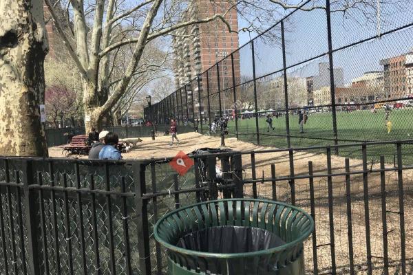 Dog Park At Sternberg