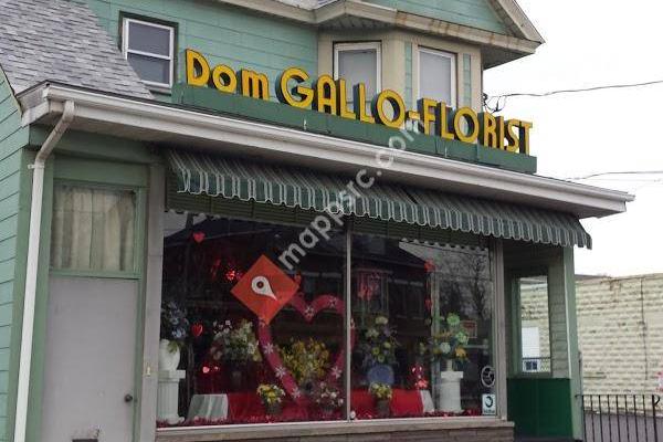 Dom Gallo Florist