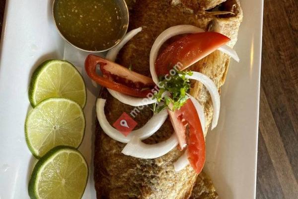 Don Julio’s Authentic Mexican Cuisine - Tampa Palms