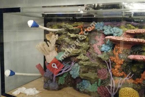 Dream Marine Aquarium Services