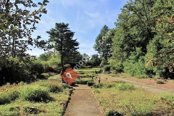 Dutch Gardens