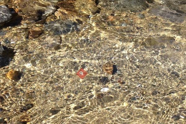 East Bay Public Plaza