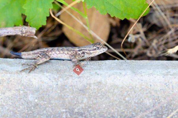 Edgewood Park & Natural Preserve