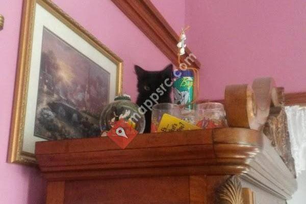 Elajio Essentials Day Spa