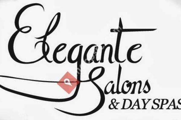 Elegante Salons & Day Spas