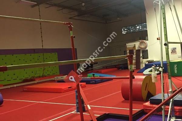 Elite Gymnastics Fitnesss Academy