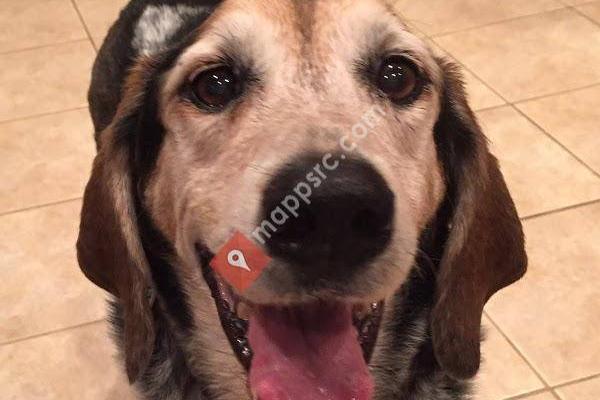 Elma Animal Hospital