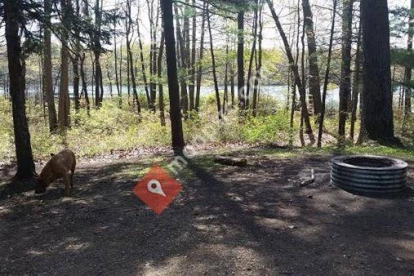 Ely Lake Campground