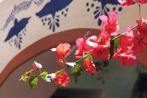 En Fuego Cantina & Grill